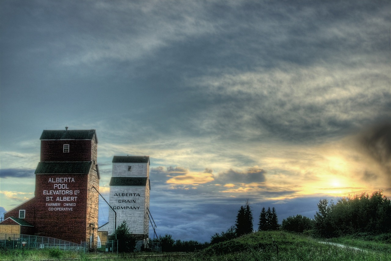 A Culinary and Adventure Journey in St. Albert