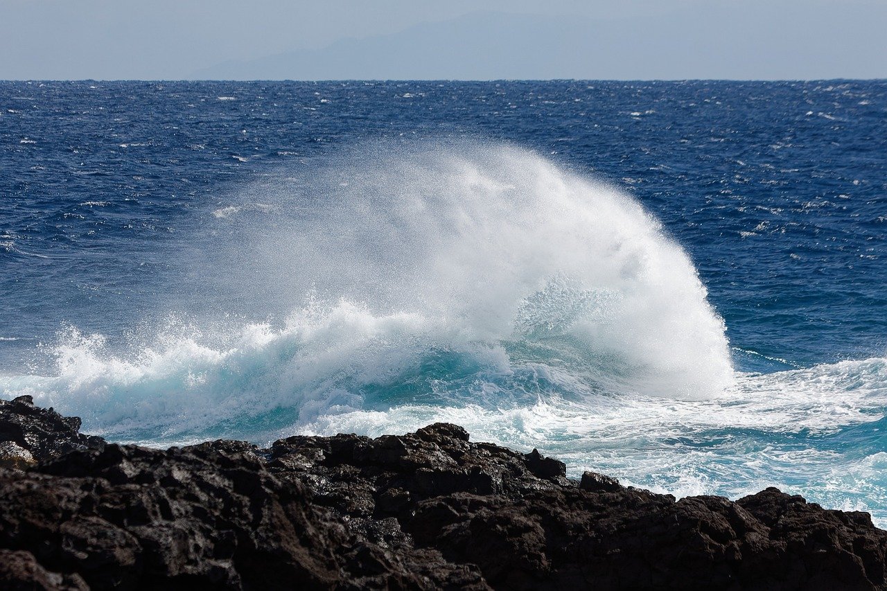 A Day of Scuba Diving and Gastronomic Delights in El Hierro