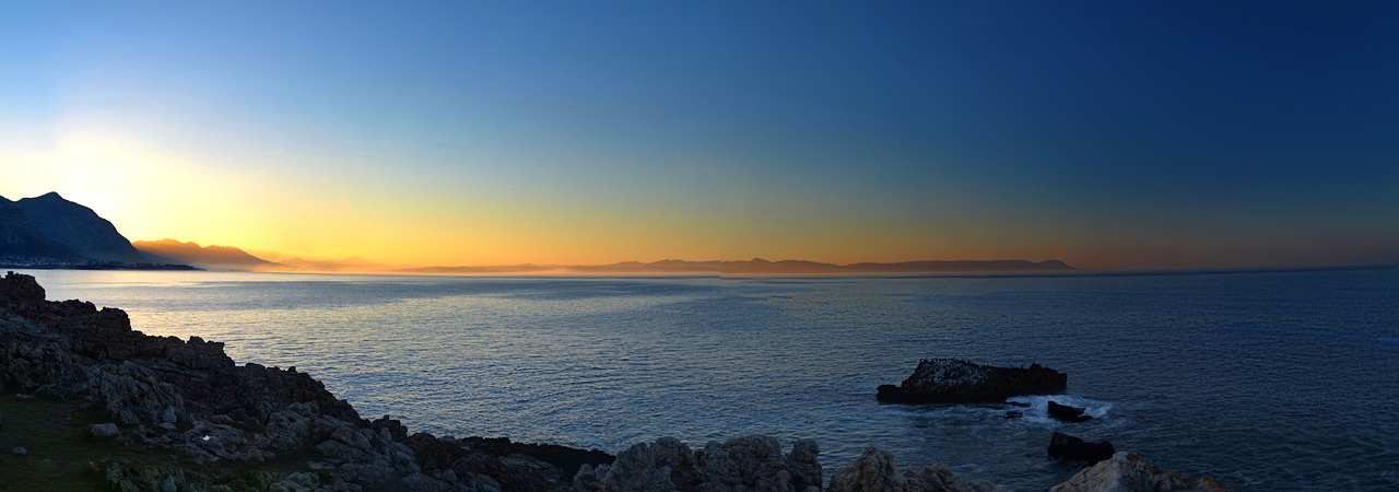 Marine Adventure and Culinary Delights in Hermanus