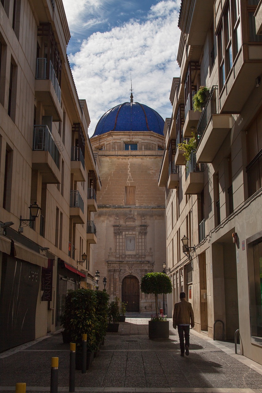 Découverte de la culture et de la gastronomie à Elche