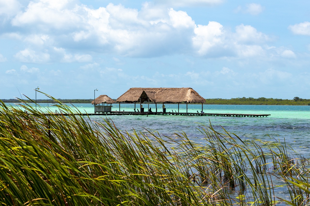 Explorando la Belleza de Bacalar en Barco y Sabores Locales