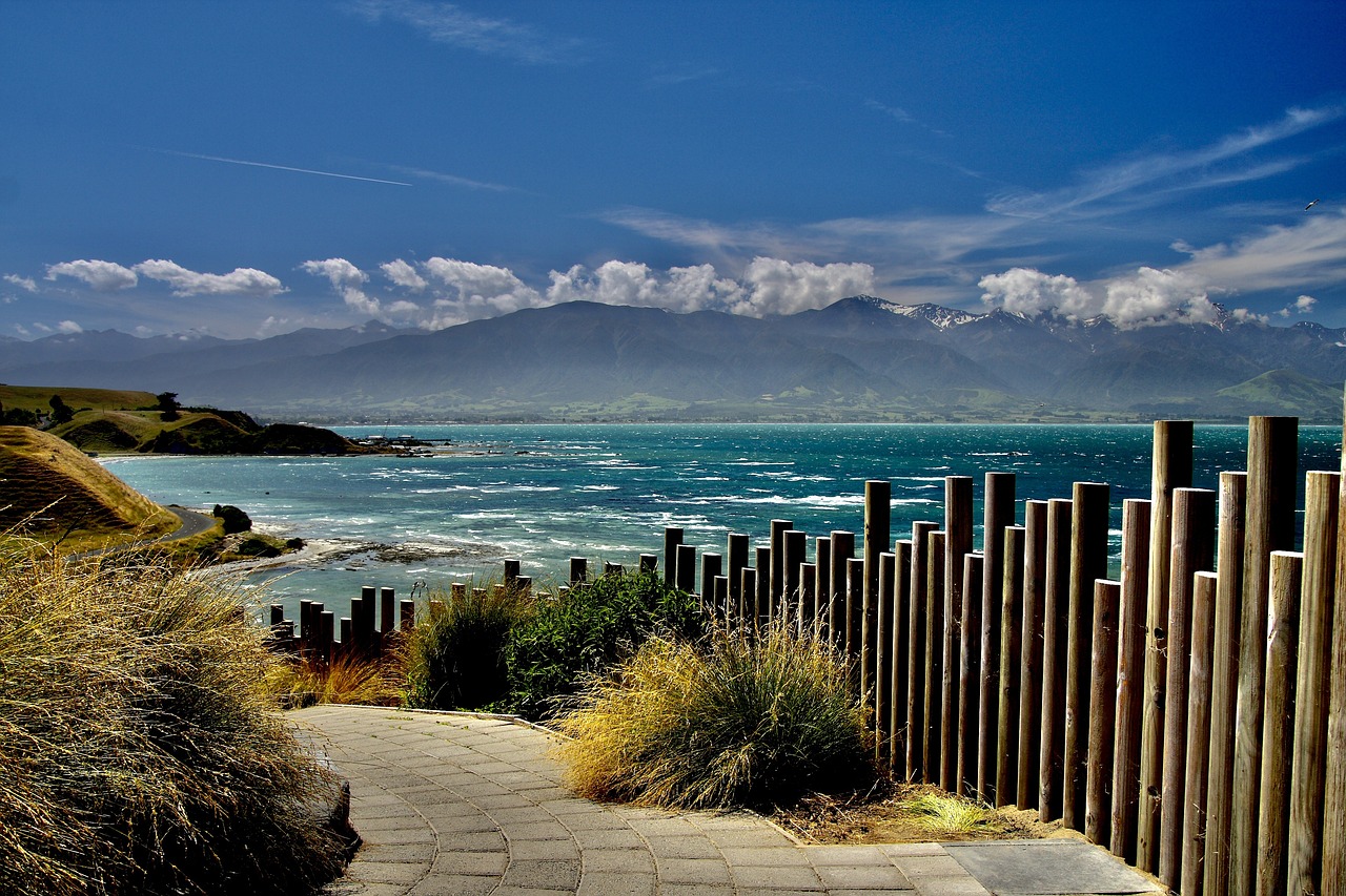 Ultimate Wildlife and Culinary Experience in Kaikoura