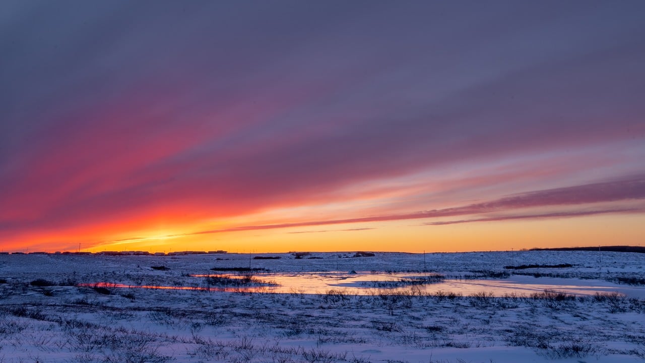 Ultimate Alaskan Adventure: From Glaciers to Wildlife in 27 Days