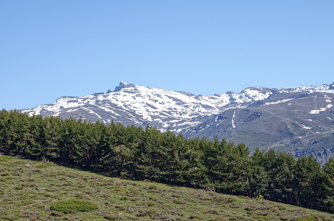 Sierra Nevada Mountain Adventure