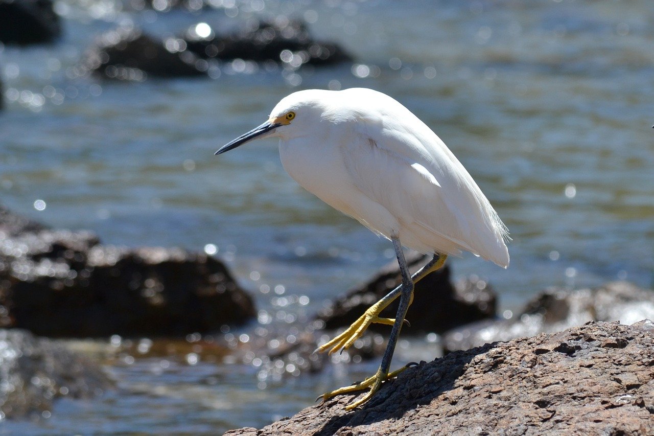 Carolina Beach Coastal Adventure