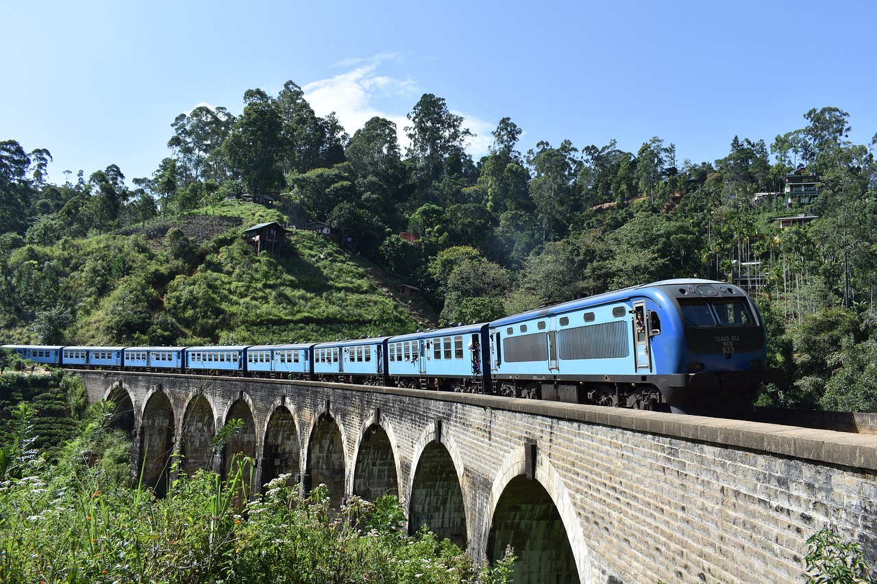 Family Adventure in Kandy: Trains, Elephants, and Ancient Ruins