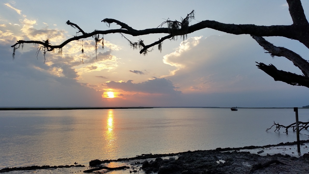 Coastal Charm and Culinary Delights on Cumberland Island