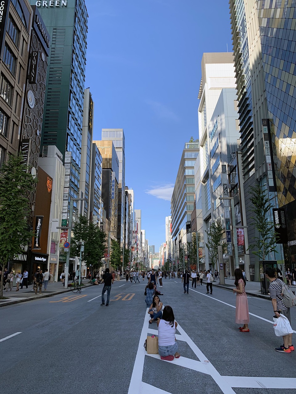 Ginza Evening Delights and Gourmet Dining