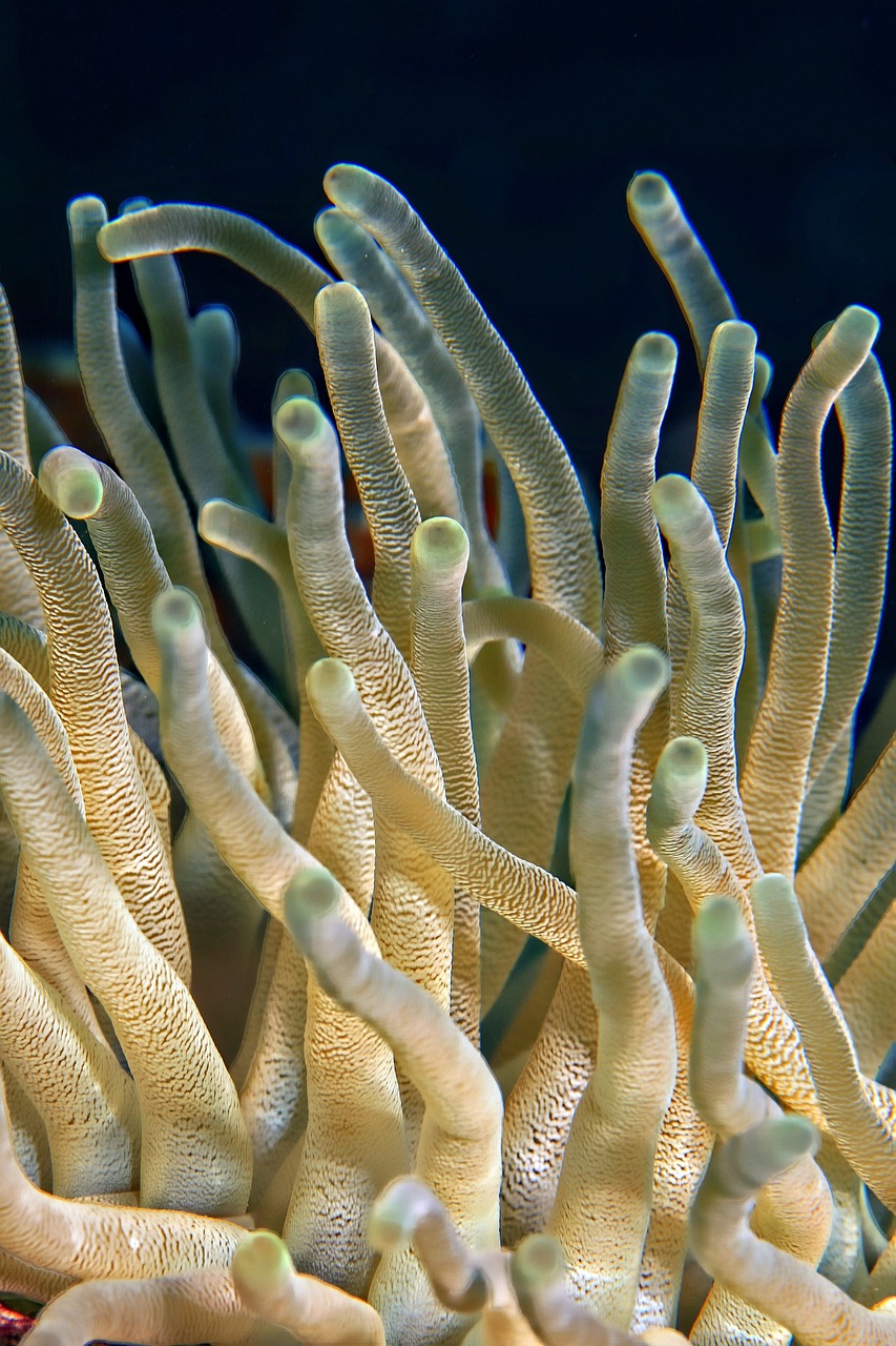 Ultimate Coral Bay Adventure in St. John