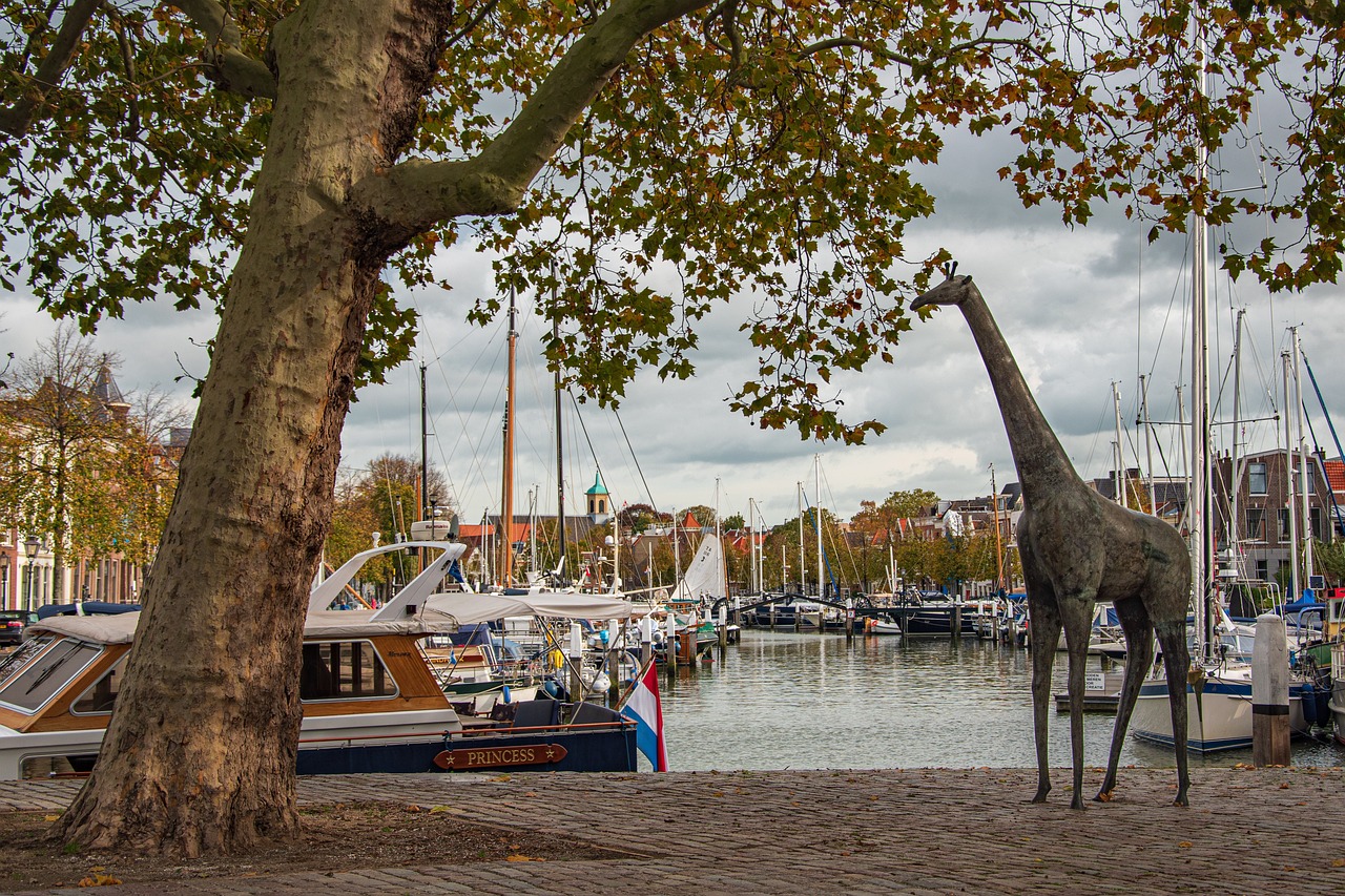 Dutch Delights in Dordrecht: Windmills, Cheese, and Canals