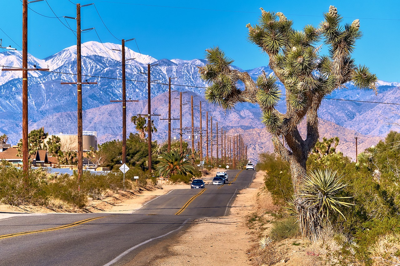 Desert Adventure in Yucca Valley