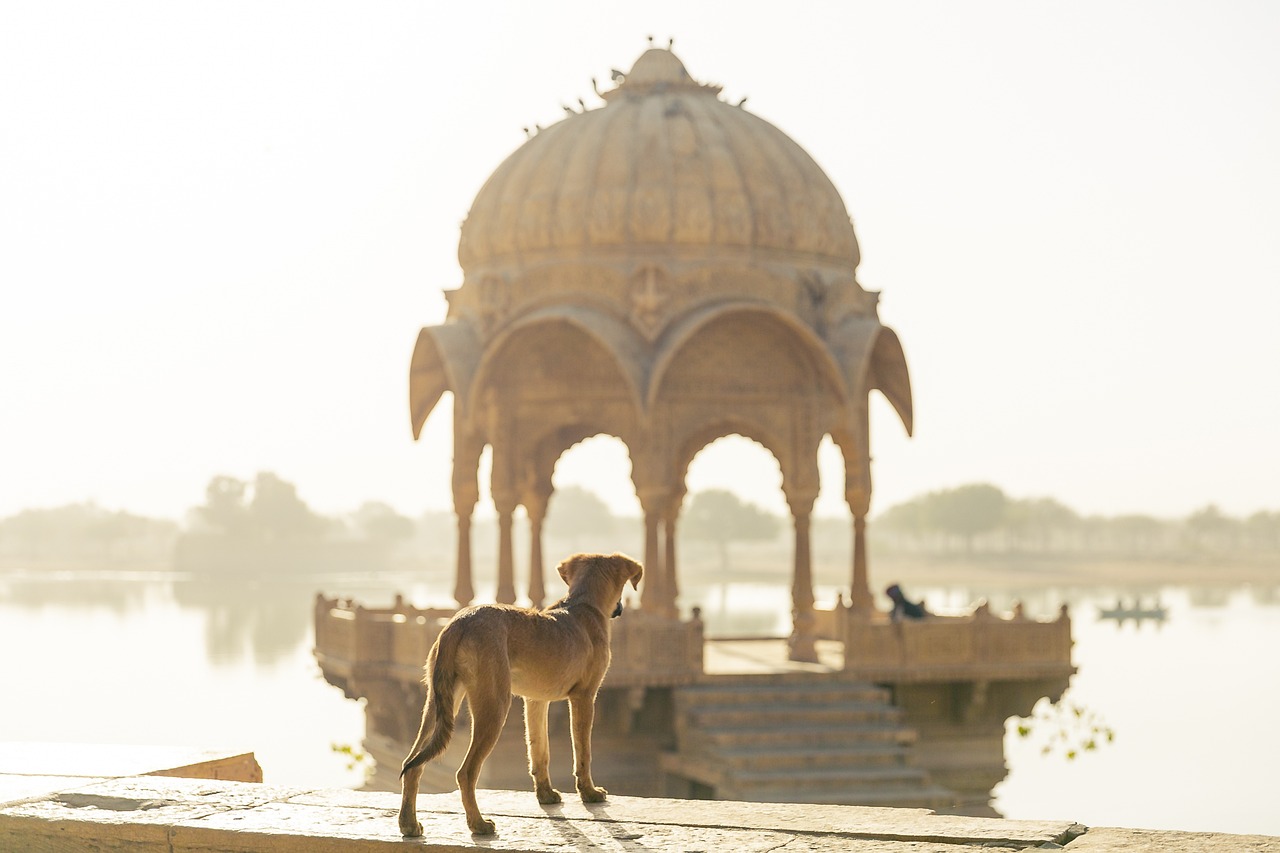 Ultimate 13-Day Motorcycle Adventure through India