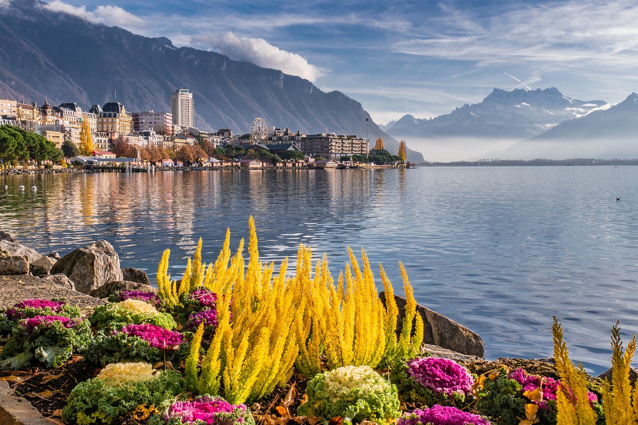 Printemps Enchanté à Montreux: Narcisses, Léman & Château