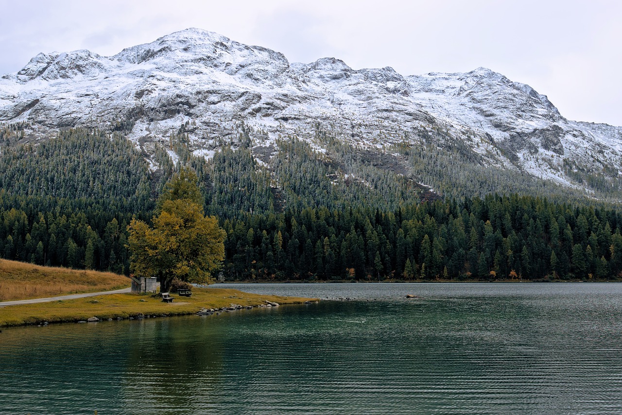 Explorando a Beleza de St. Moritz e Arredores