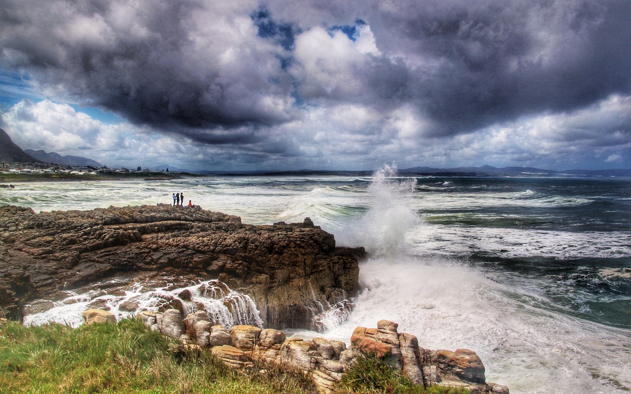 Marine Adventure and Culinary Delights in Hermanus