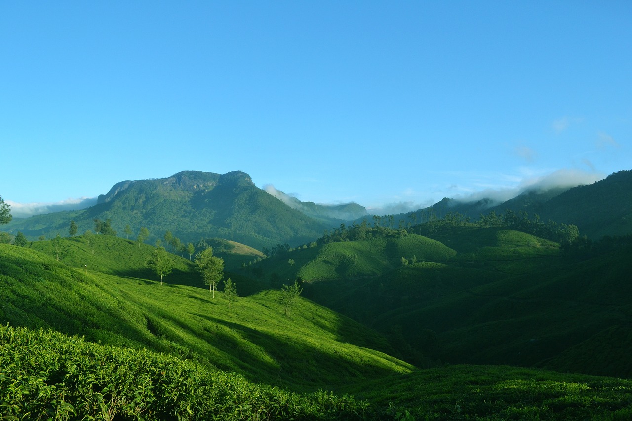 Tranquil Munnar: Tea Gardens and Mountain Treks