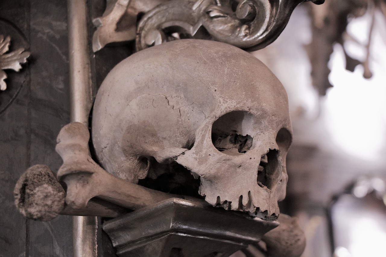 Descubriendo la Historia de Kutná Hora en un Día