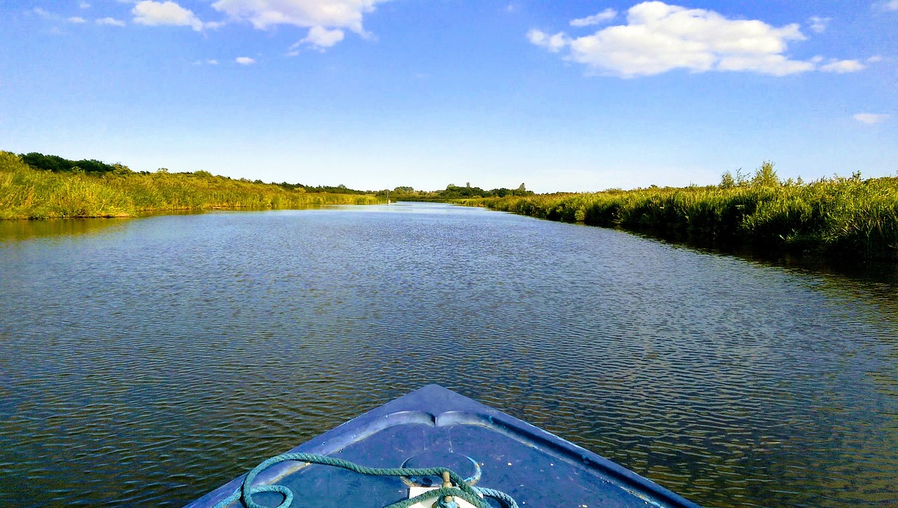 A Day of Aquatic Adventures in Norwich