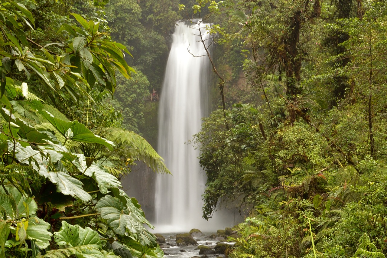 Heredia Nature and Coffee Delights