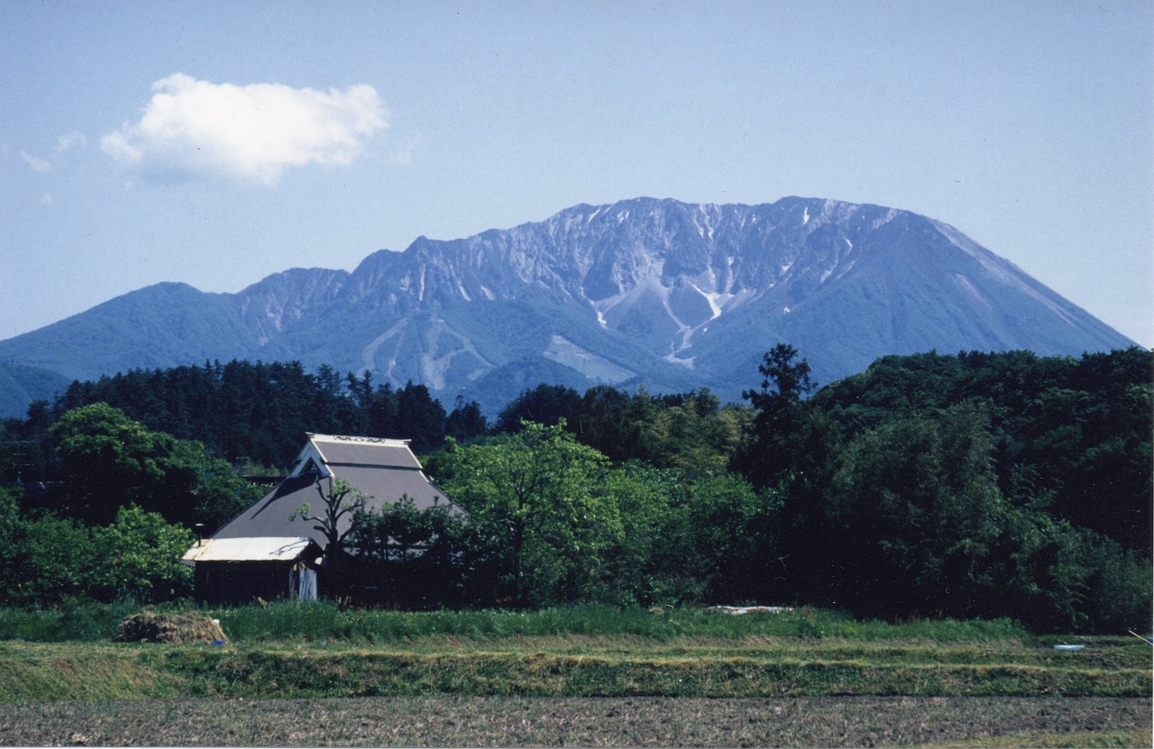Culinary Delights and Historic Mansions in Daisen