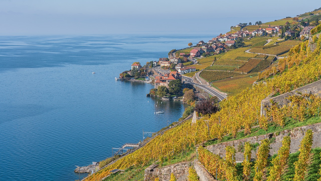 A Day in Vaud: Montreux, Chillon Castle, and Lavaux Vineyards