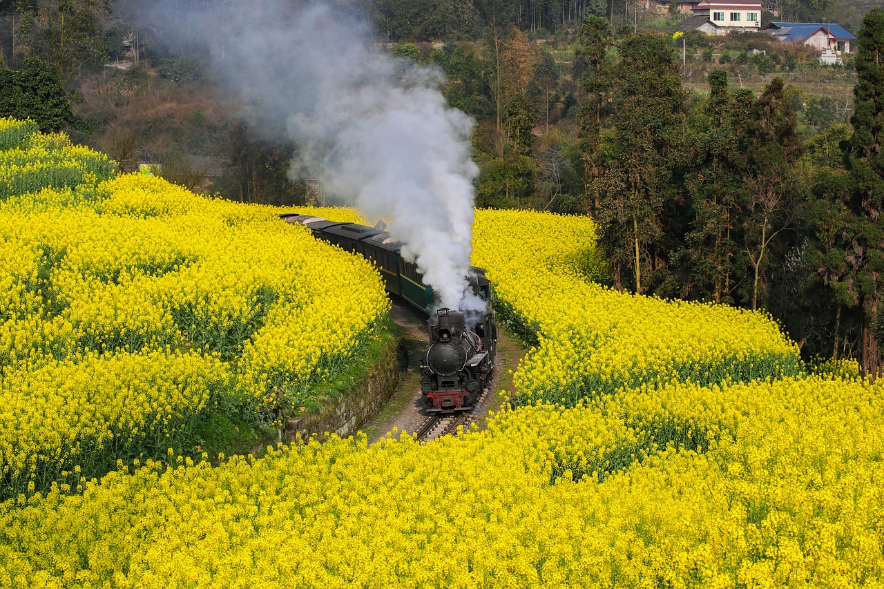 Cultural and Culinary Delights in Leshan