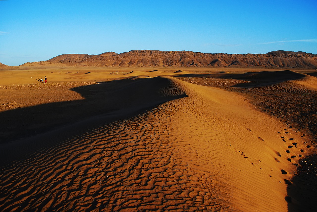 Desert Adventure and Culinary Delights in Zagora