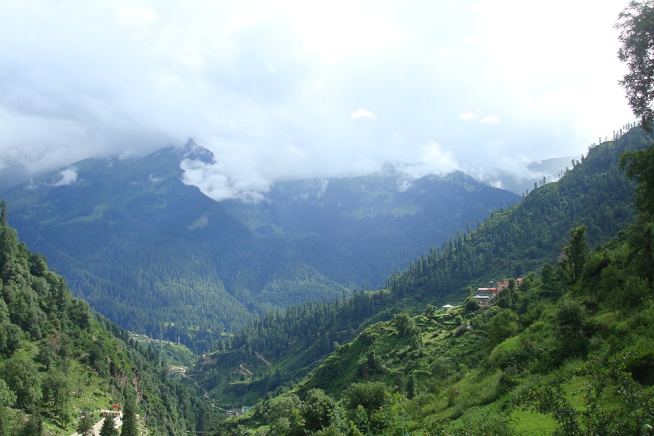 A Serene Retreat in Tosh, India