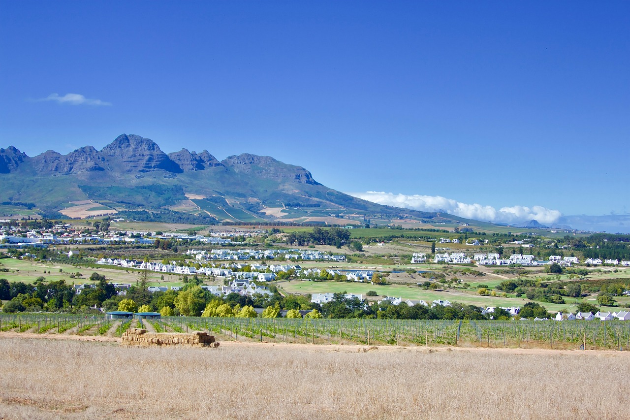 Wine and History in Stellenbosch