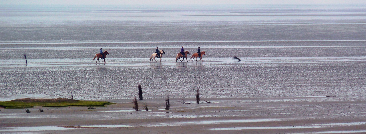 Seaside Delights in Cuxhaven and Beyond