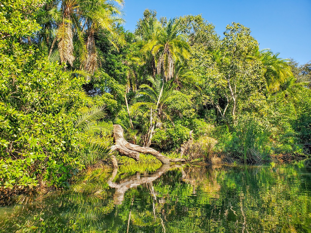 Adventurous Waterfront Escapade in Estero