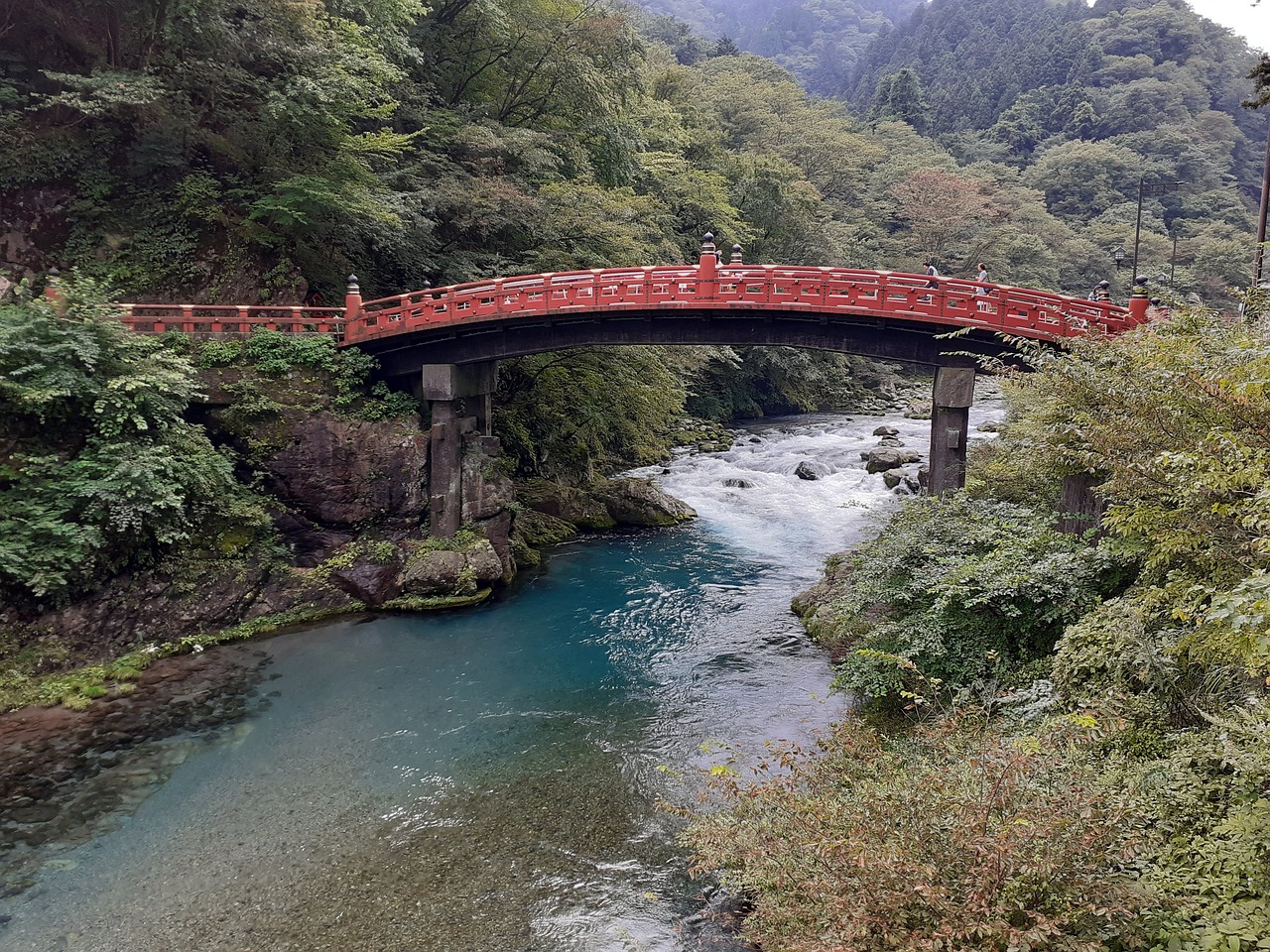 Cultural Immersion in Tochigi: Nikko and Edo Wonderland