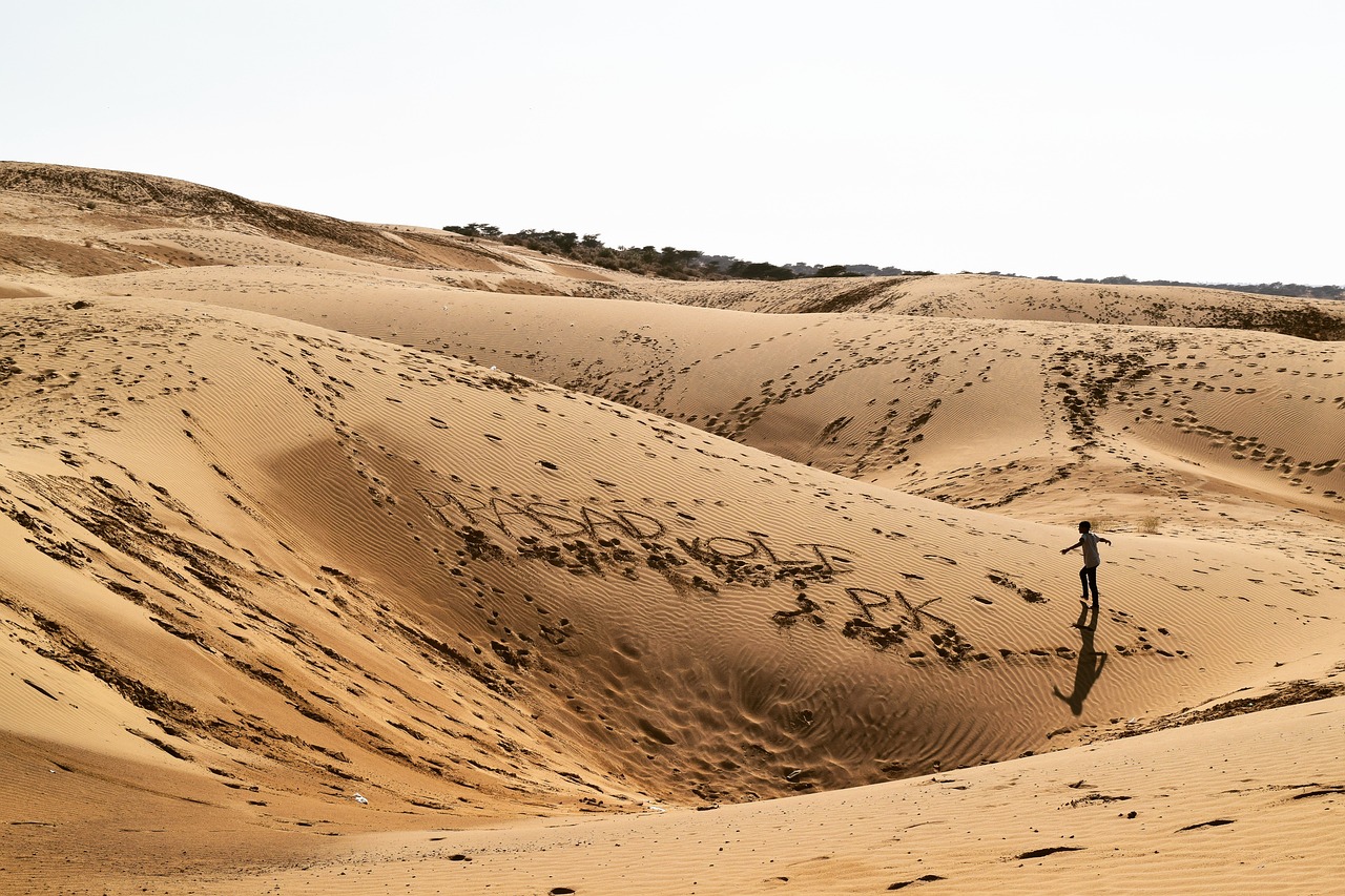 Magical Desert Experience in Thar Desert