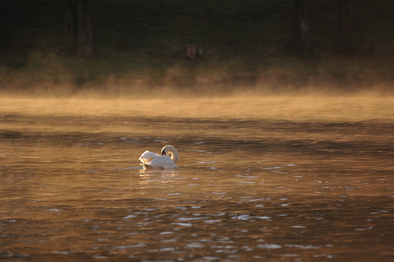 A Day of River Adventures in Karlovac