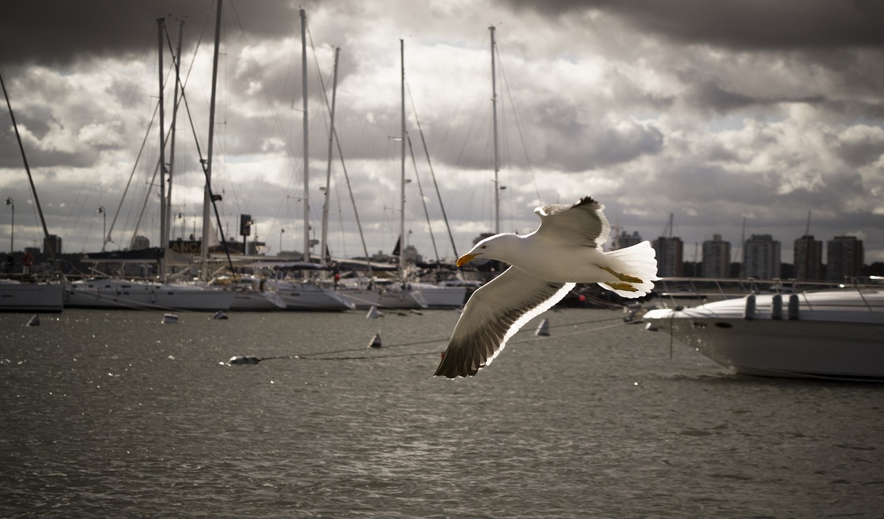 Seaside Serenity in Victor Harbor