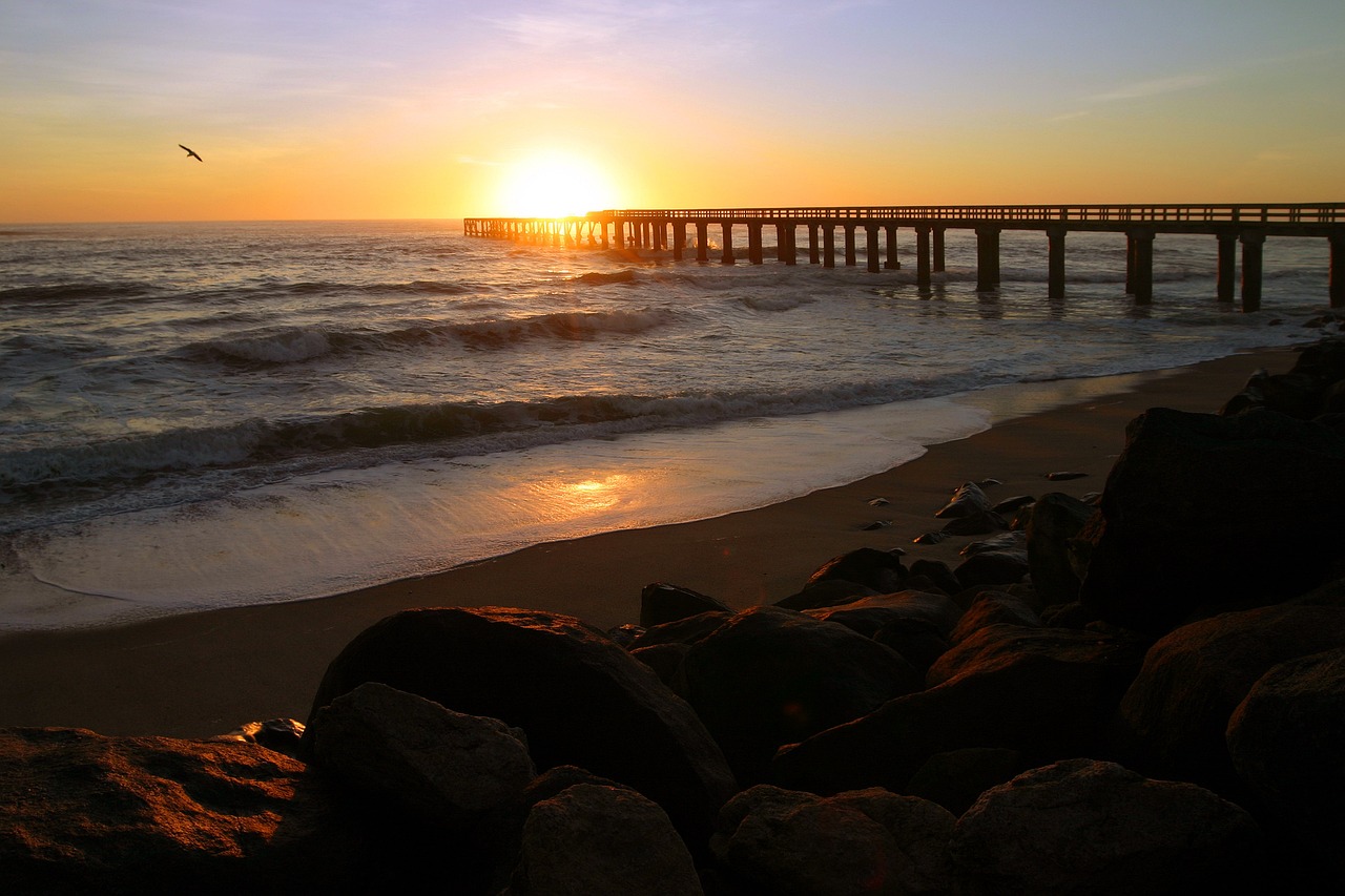 Ultimate Adventure and Culinary Experience in Swakopmund