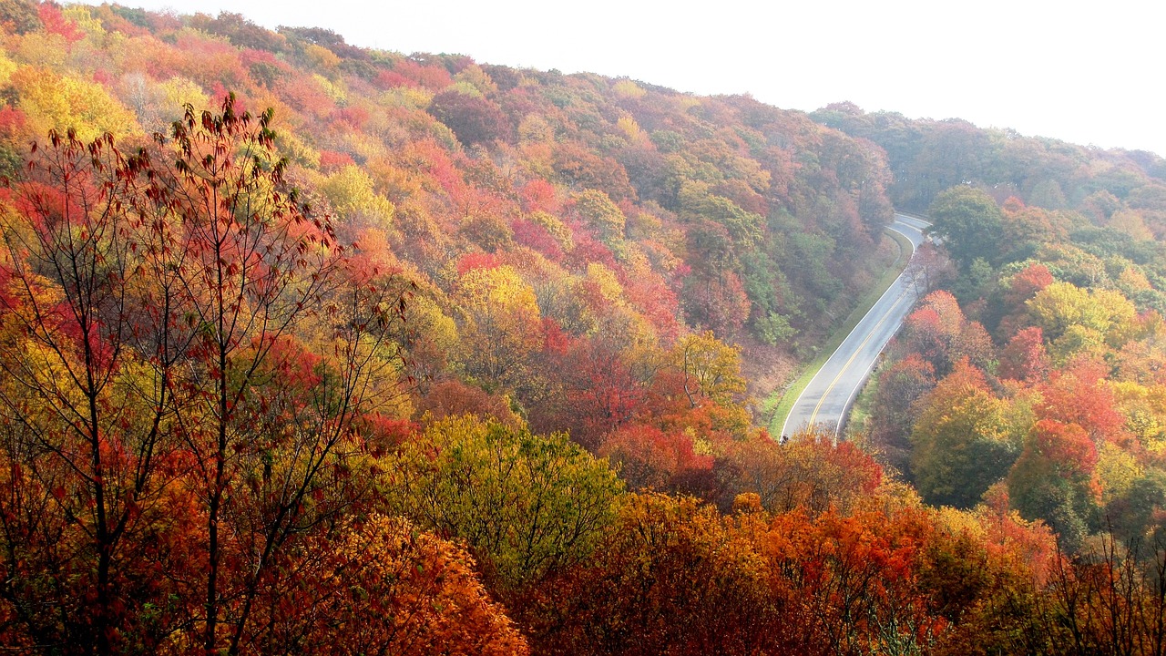 A Haunting and Culinary Journey in North Carolina