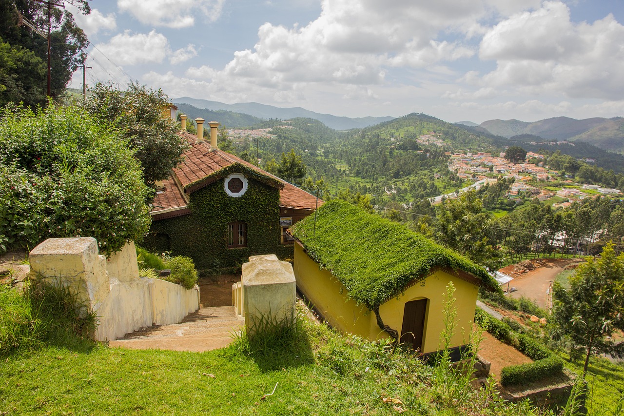 Tranquil Day in Kotagiri: Tea Estates and Scenic Views