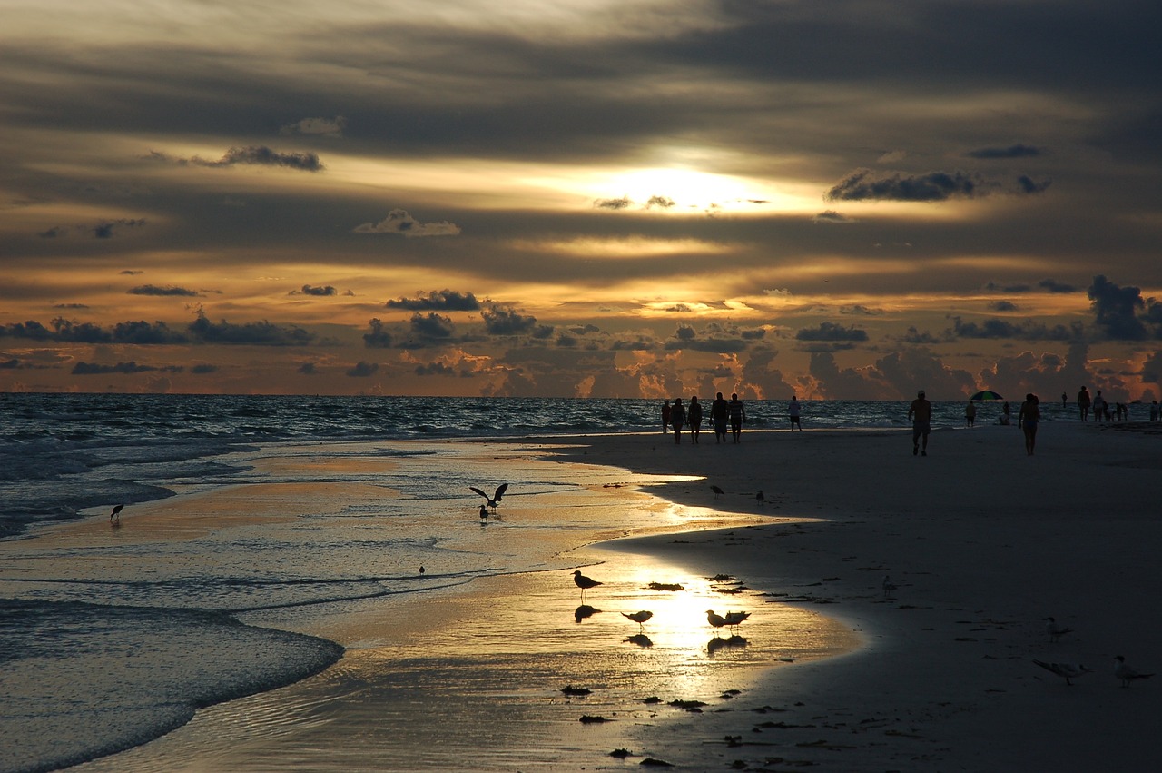 Sunny Days in Siesta Key: Beaches and Beyond