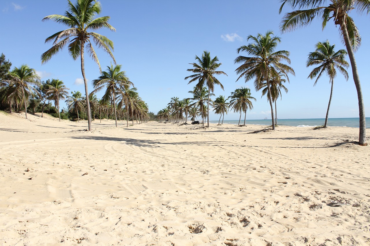 Ceará Coastline Adventure