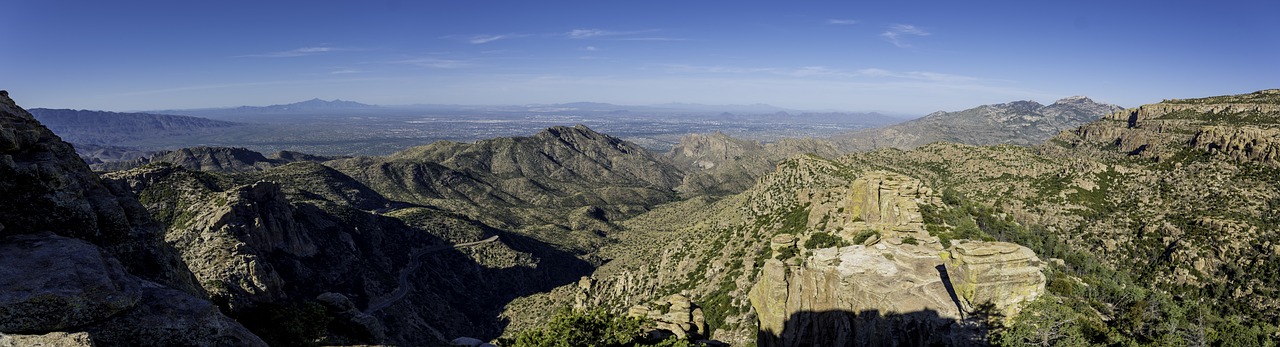 Wilderness and Culinary Delights in Mount Lemmon