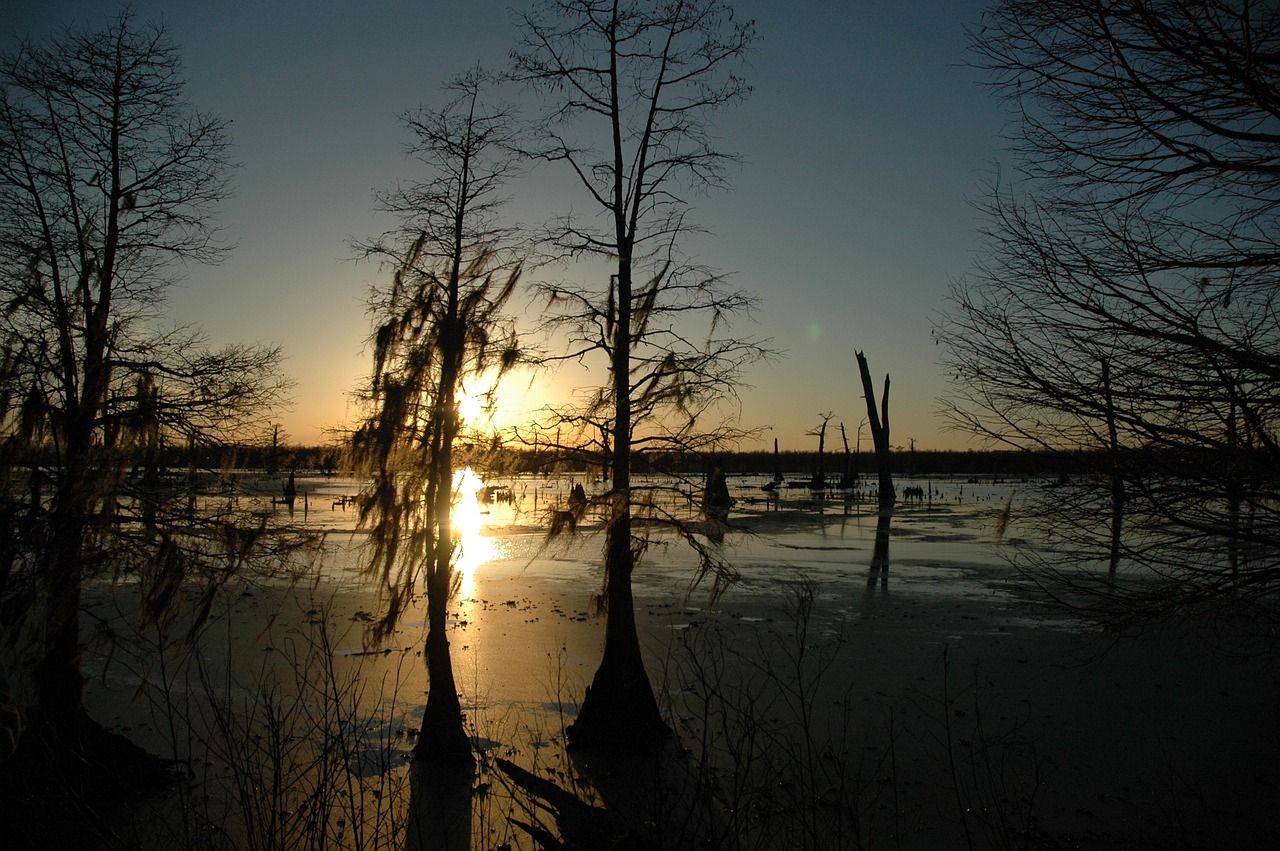 Esplorazione Completa della Louisiana in 15 Giorni