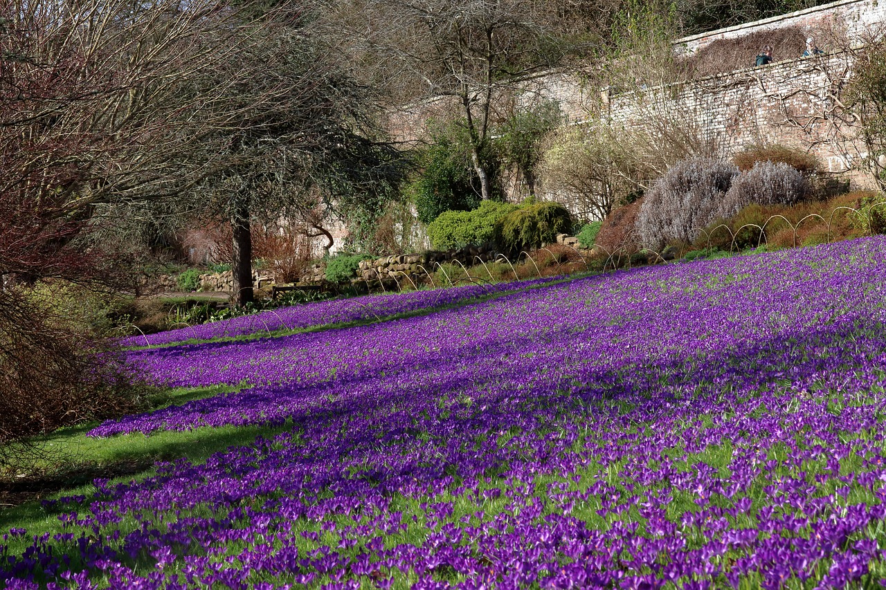 Historic and Scenic London with a Touch of Local Charm