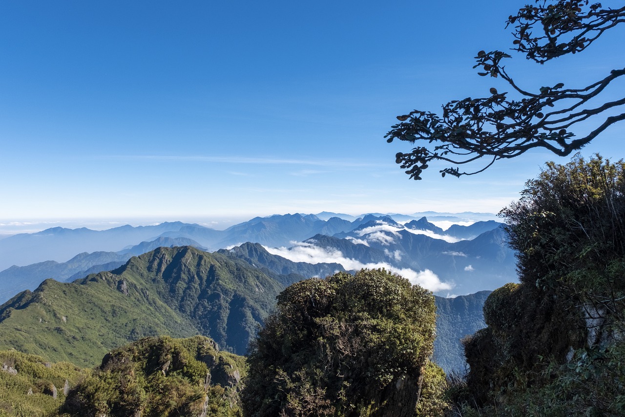 Indochina Adventure: From Urban Marvels to Natural Wonders