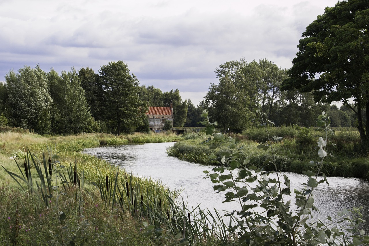 Culinary and Mystery Delights in Doncaster