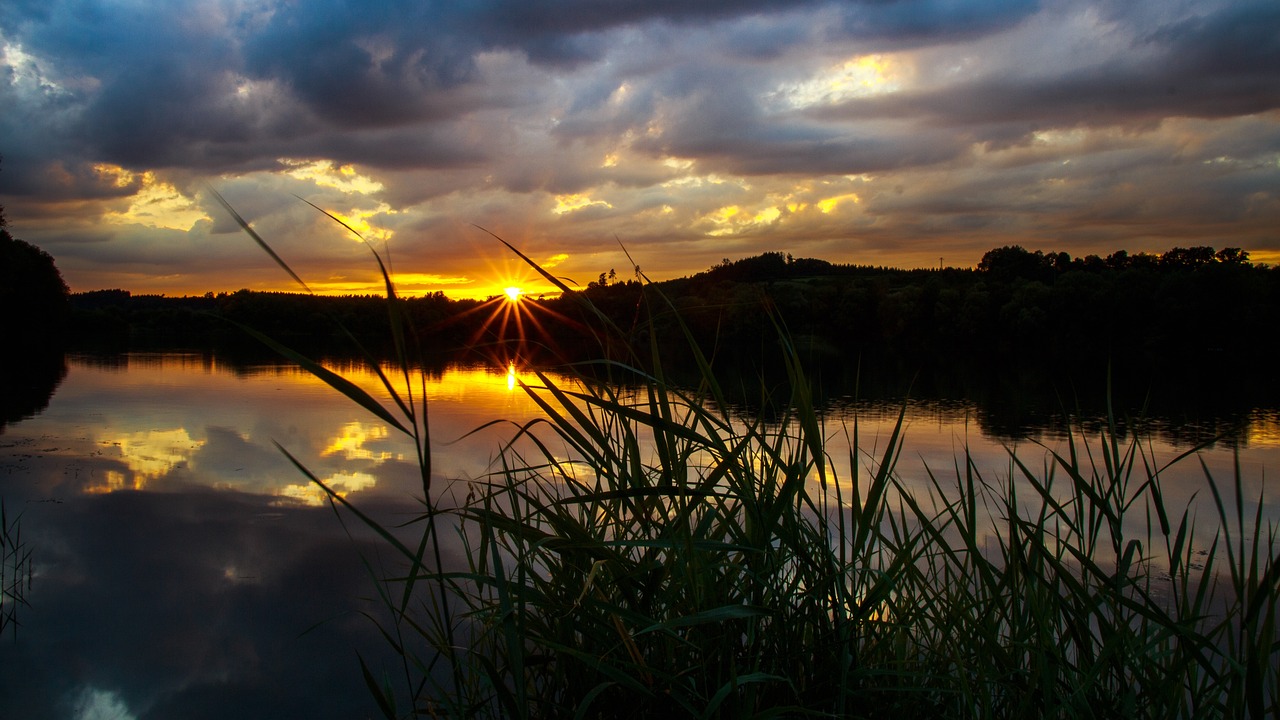 A Culinary Journey Through Finger Lakes