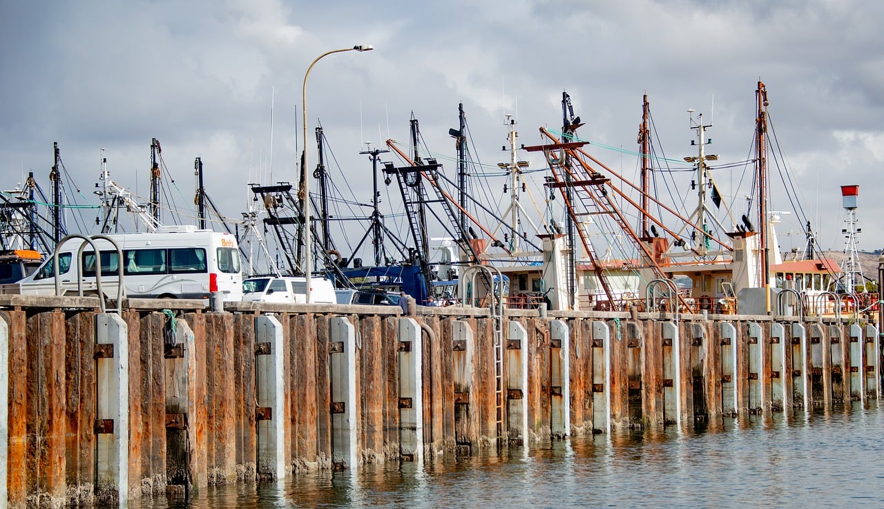 Seafood and Nature Delights in Port Lincoln