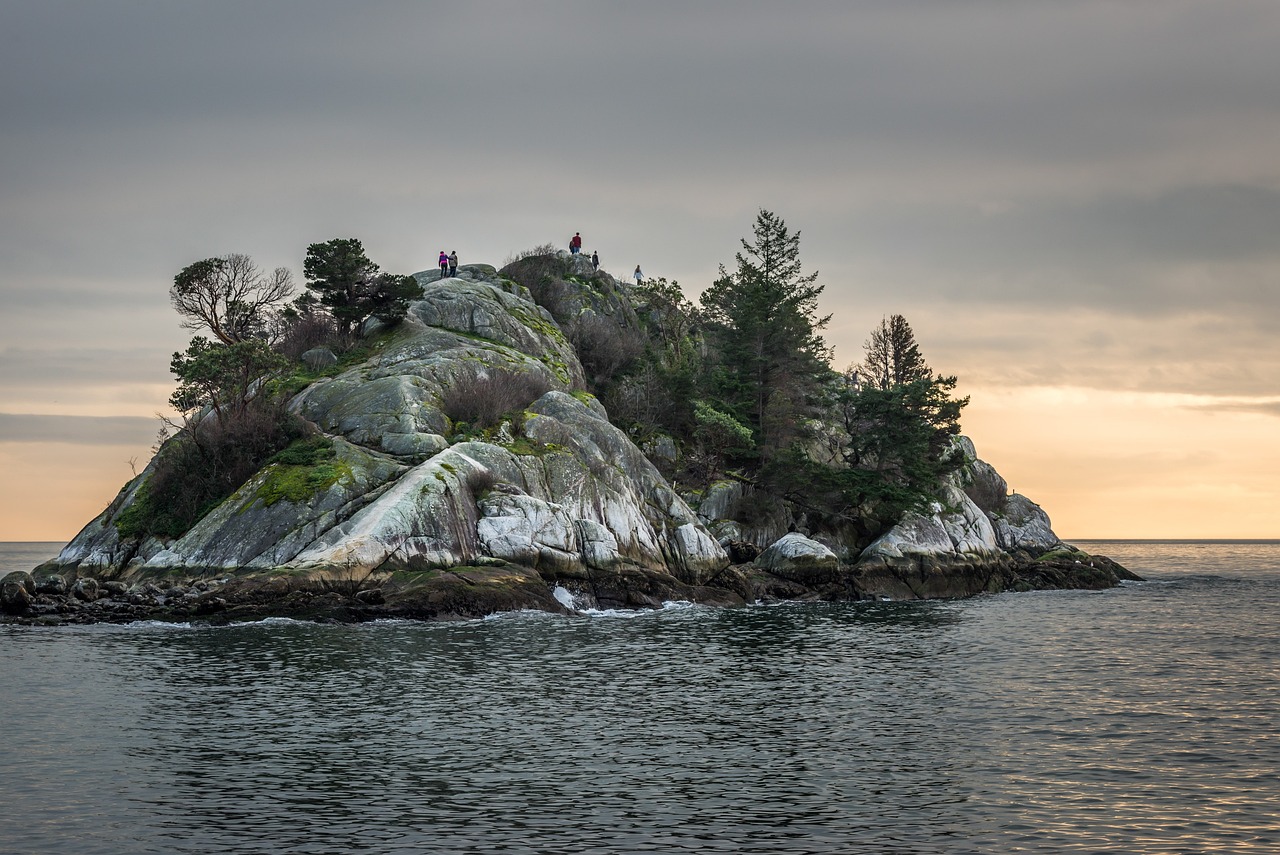 Whale Watching and Suspension Bridge Adventure in West Vancouver