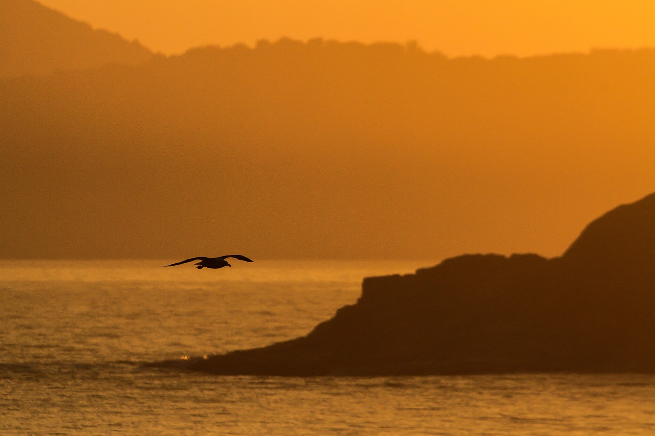 Seaside Delights in Cabo Frio and Surroundings