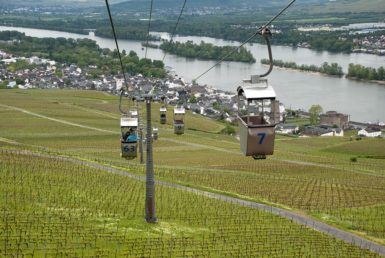 A Taste of the Rhine Valley: 2-Day Itinerary in Rüdesheim